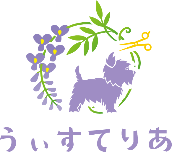 シャンプーやカットにもこだわった安城市で人気を集めるペットサロン『うぃすてりあ』へお越しください。